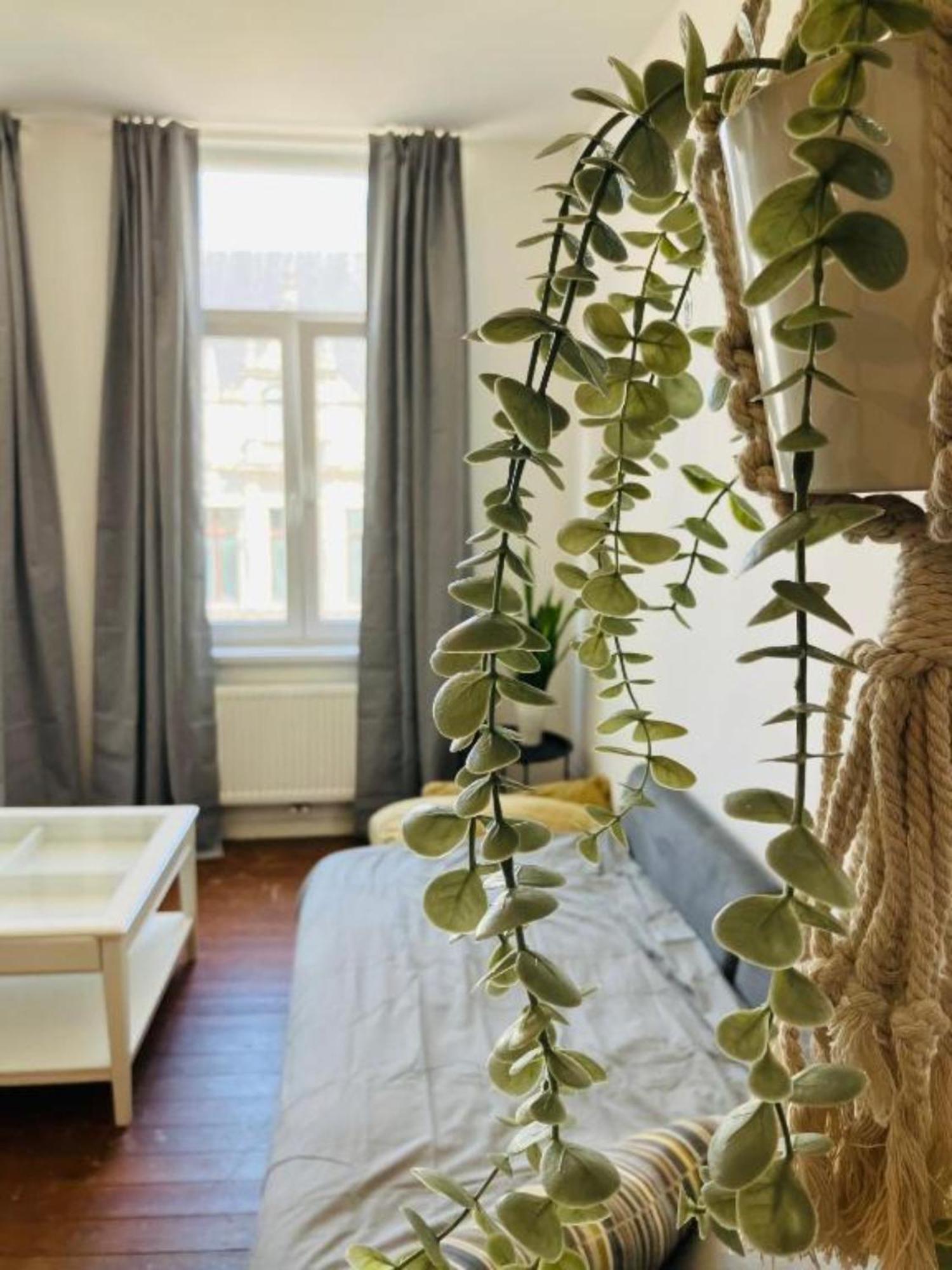 Bnb Suikernest Antwerpen Exterior foto